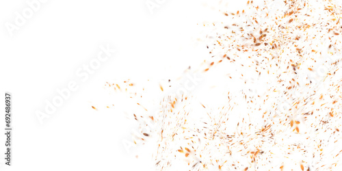 spark from a campfire on a white background. It can be used for backgrounds, wallpapers, or as a design element in graphic design projects