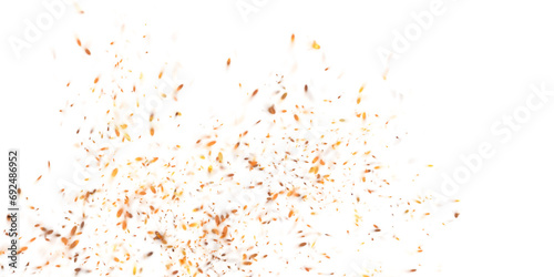 This image resembles shimmering glitter on a white background.