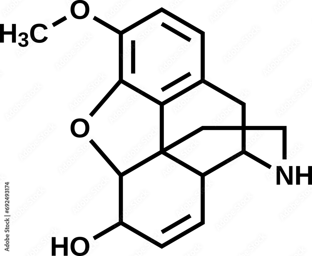 Norcodeine structural formula, vector illustration Norcodeine structural formula, vector illustration
