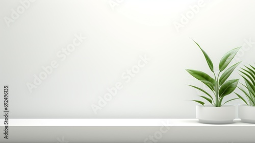 Empty room with shadows of window and flowers and palm leaves.Abstract white studio background for product presentation.  photo