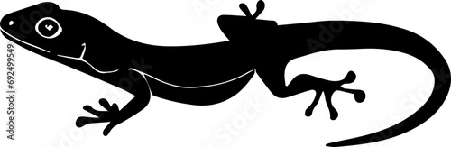 Anole Lizard icon