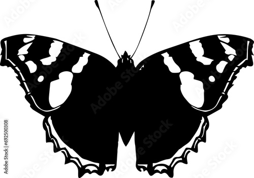 Admiral Butterfly icon 