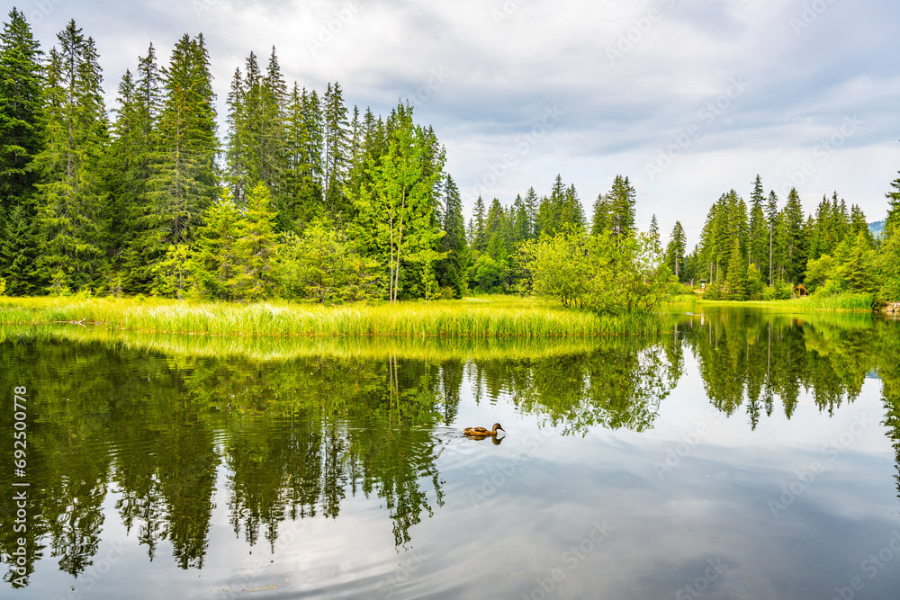 Fototapeta premium Vrbicke glacial lake and the largest natural lake in Low Tatras, Slovakia