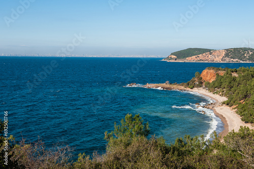 Beautiful sea landscape with forest leaves, blue sky and island © darkbird