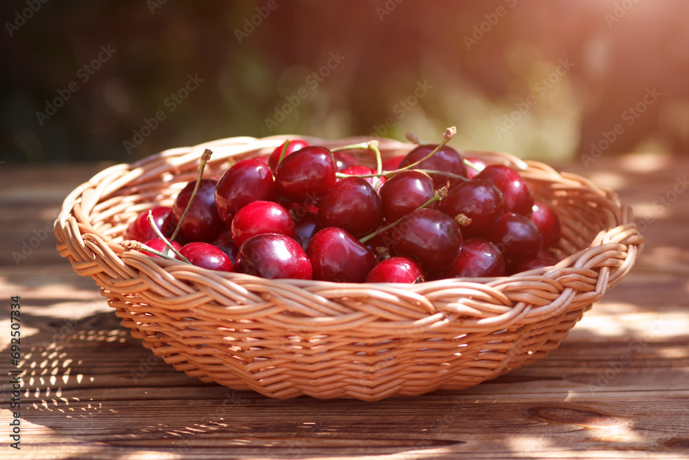 The sweet cherry in wicker plate in summer season outdoors, selective focus. The sweet cherry in wicker plate in summer season outdoors, selective focus.