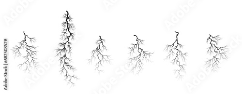 set of different roots, plant root system photo