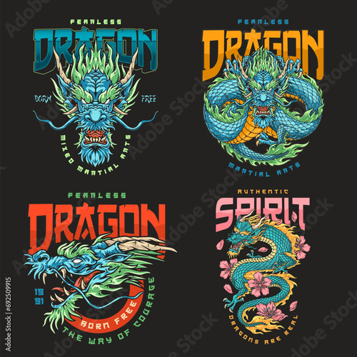 Dragon fight club set flyer