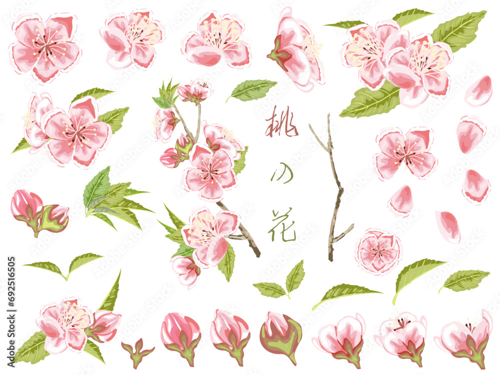 桃の花の素材セット