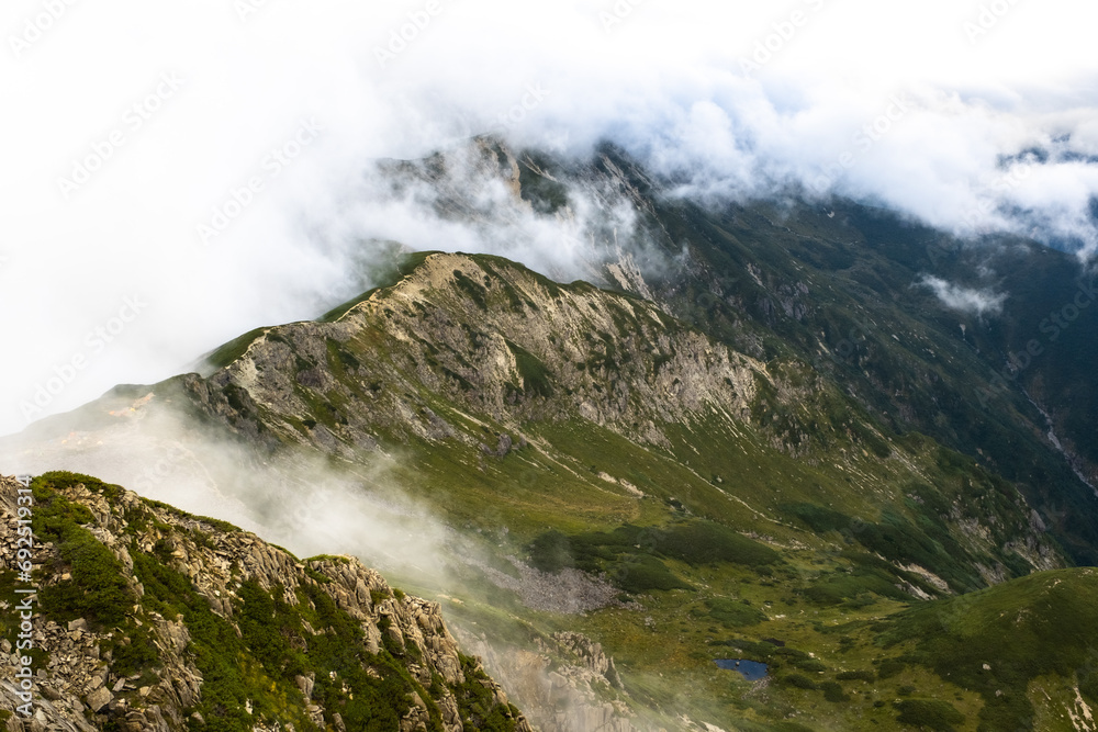 夏の山