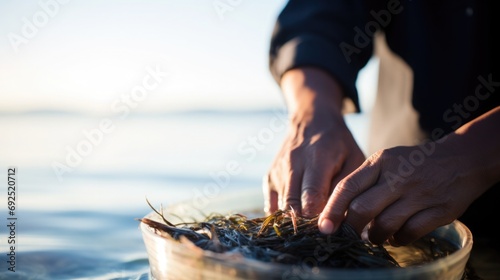 Close-up of hands collecting seaweed, with a clear blue ocean horizon in the background photo