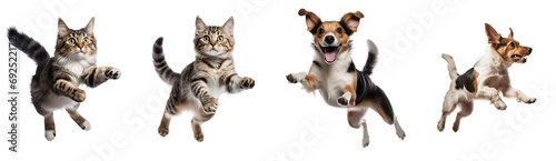 Set of Playing and Jumping Pets: Energetic Dog Jumps and Cat Leaps, Displayed in Side and Front Perspectives, Isolated on Transparent Background, PNG