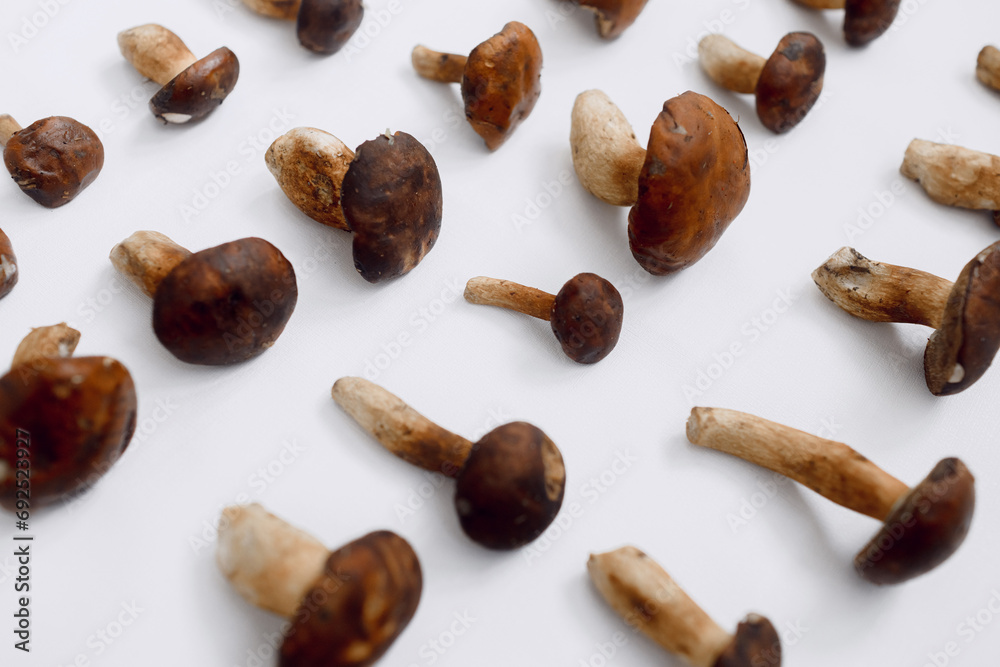Polish mushroom on a light background. Copy space. Top view. Organic forest food, edible fresh picked Porcini mushroom. Autumn harvest concept. Mushroom picking Polish mushroom on a light background. Copy space. Top view. Organic forest food, edible fresh picked Porcini mushroom. Autumn harvest concept. Mushroom picking