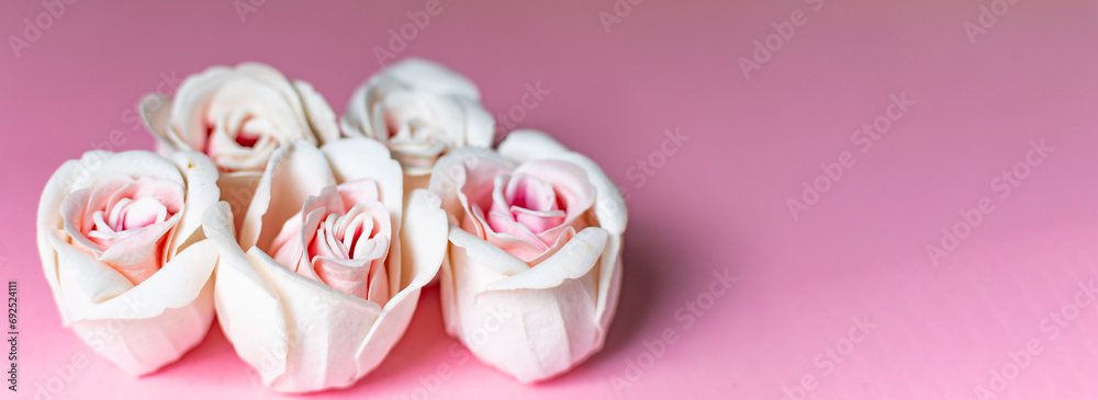 Rose flowers on pink background. Valentines day, mothers day, women day, spring concept. Rose flowers on pink background. Valentines day, mothers day, women day, spring concept.
