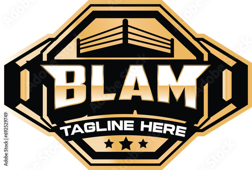 wrestling boxing logo design, vector, fighting photo