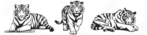 Set of tiger silhouettes in different positions, black and white vector graphics, silhouette laser cutting