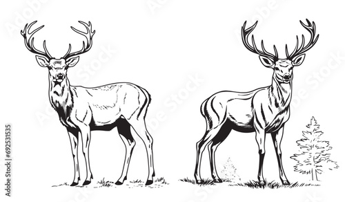 Deer silhouettes, black and white vector graphics, laser cutting, woodcut © Cris