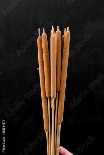 Bouquet of beautiful beige reeds in a tenderness hand on a black background photo