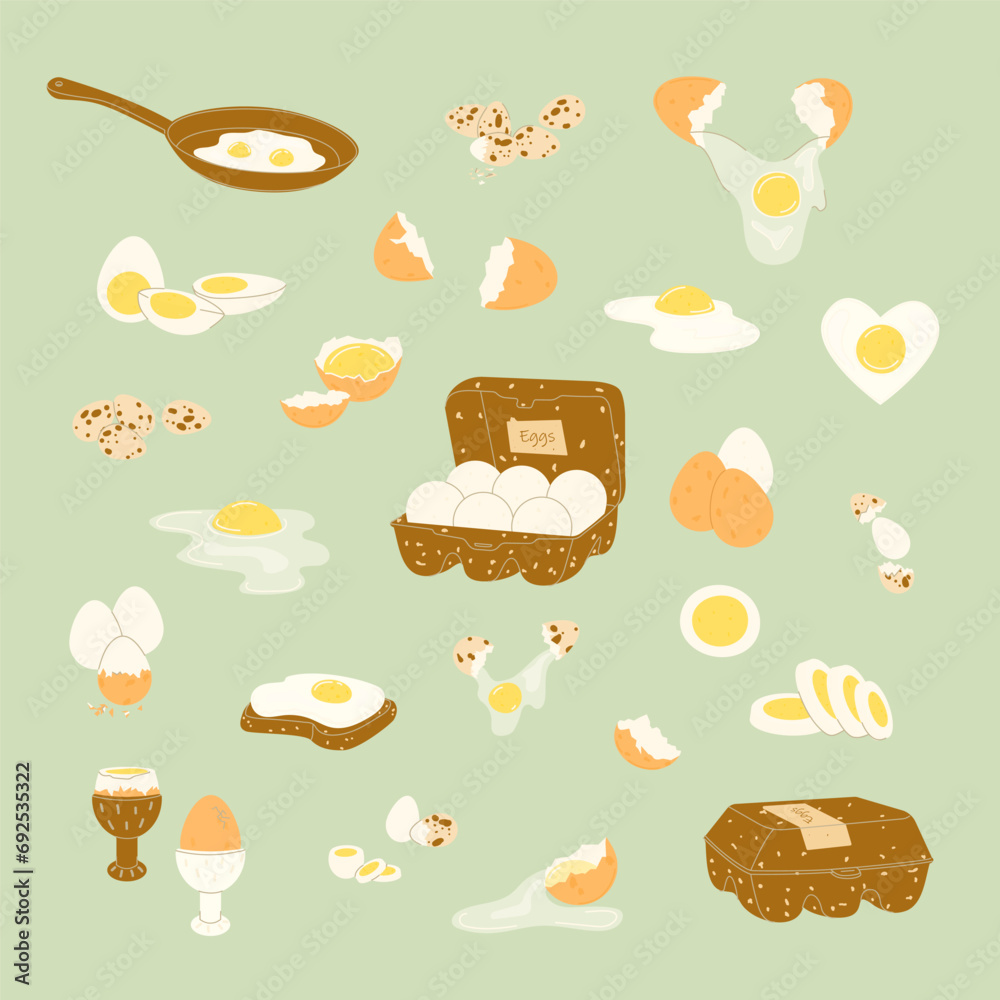 A set of raw and boiled chicken and quail eggs. Broken and whole eggs, with cracked shells, on a stand, fried in a frying pan and in farm packaging. Vector illustration in modern flat style.