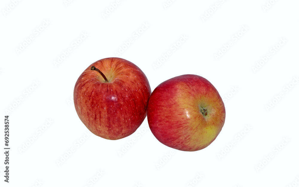 Two apples of Amasya, a local variety which is small, red and greenish yellow, yellowish red in color Two apples of Amasya, a local variety which is small, red and greenish yellow, yellowish red in color