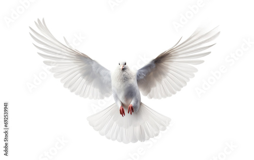 Pure Serenity Delicate White Dove on a White or Clear Surface PNG Transparent Background