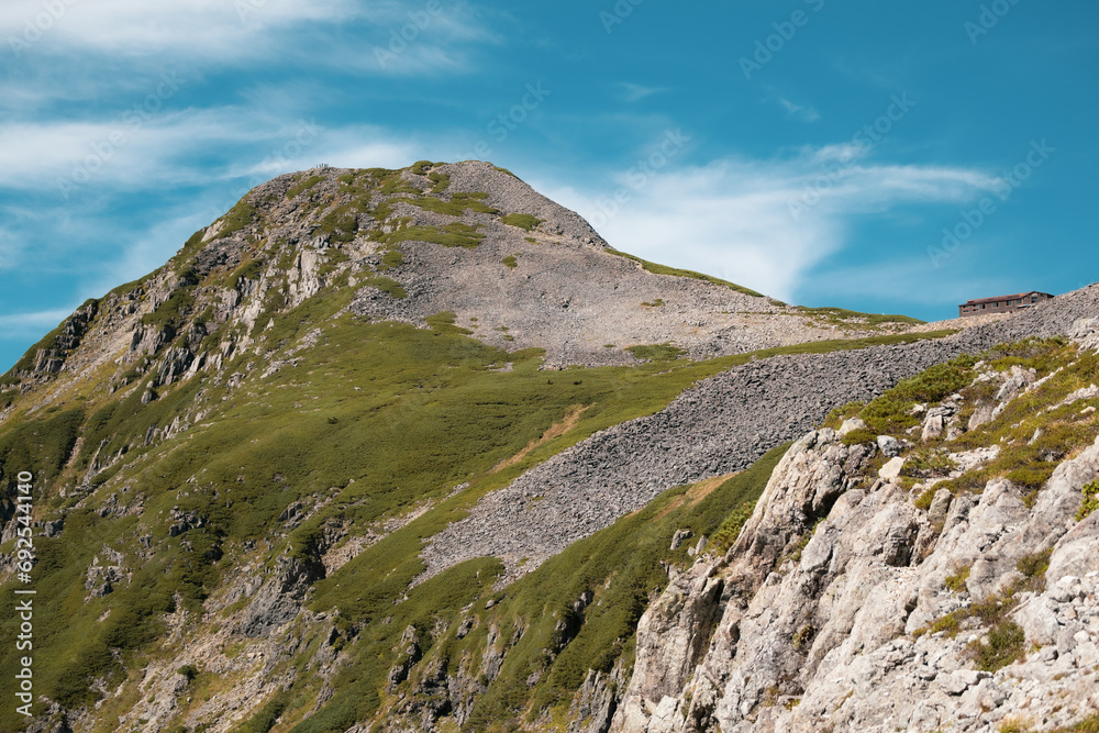 夏の山