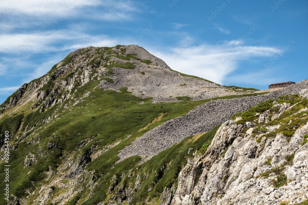 夏の山