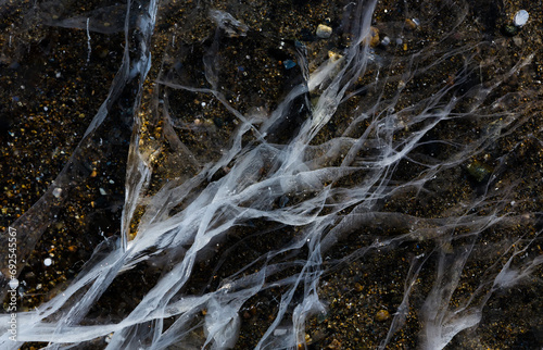 Natural ice background with methane bubbles and cracks on the surface of lake.