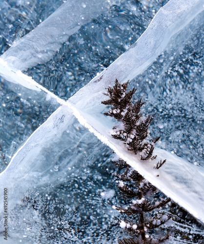 Algae under transparent ice. Natural ice background with methane bubbles, cracks and algae. Surface of lake.
