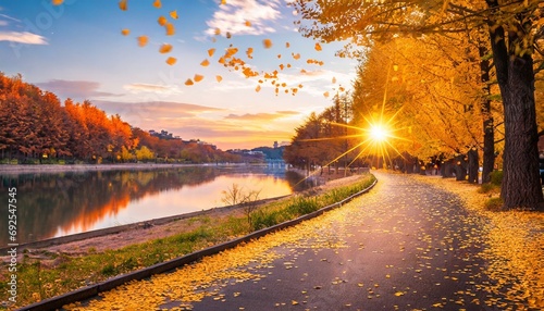 Foto 秋の銀杏並木と美しい川の流れと道と空