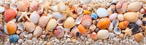 Seashells scattered along the seashore create a picturesque beach holiday background © Nattadesh