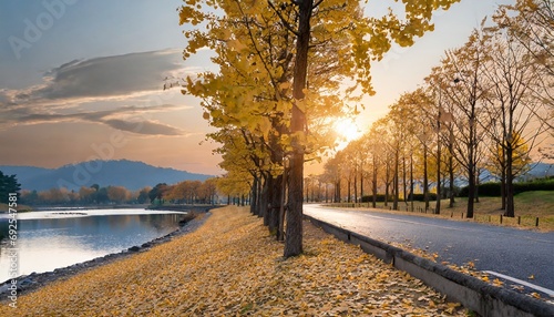 秋の銀杏並木と美しい川の流れと道と空 photo