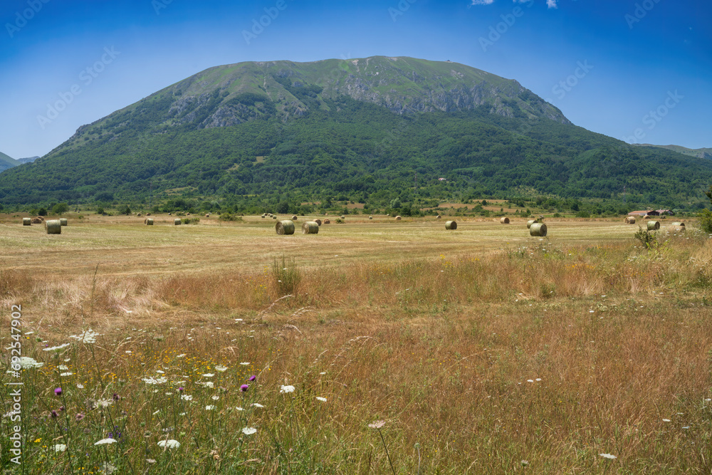 Fototapeta premium Rural landscape in the Altopiano delle Rocche, Abruzzo, Italy