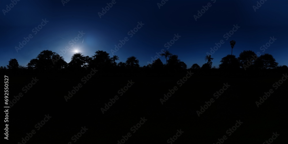 Evening scene in tropical forest 360 panorama, 3D rendering