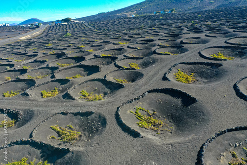 Aerial view of wine growing district of la geria. Tratitional culitvation of vines in a lava field near Timanfaya national park. Lanzarote, Spain, Europe photo