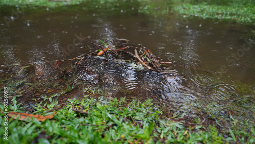 Lago Negro em dia de chuva na cidade de Gramado em Rio Grando do Sul - Brasil photo