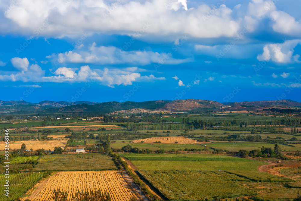 Crop fields and farms at Region del Maule in southern Chile