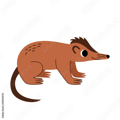 Vector illustration of cute cartoon brown solenodon isolated on white background.