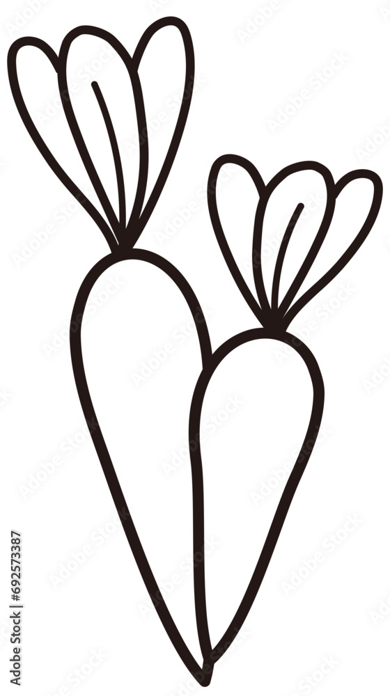 Carrot outline Carrot outline