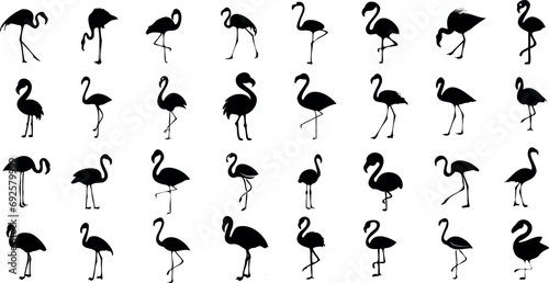 Flamingo silhouette vector illustration, seamless pattern. Multiple flamingos in different poses: standing, walking, flying, dancing. Modern, trendy, minimal, abstract, geometric, monochrome style