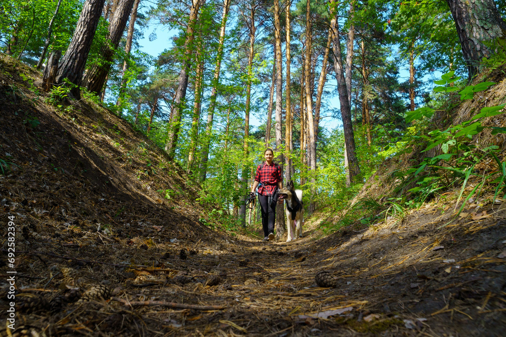 Serene Walk in the Woods. A girl walks with her beloved dog in the forest