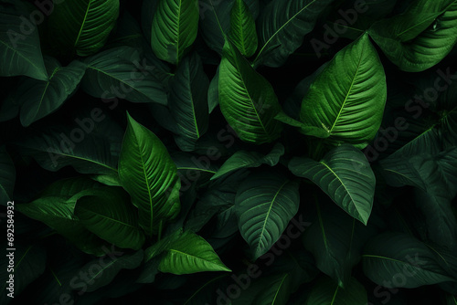 Dark green leaves top view. Generative ai photo