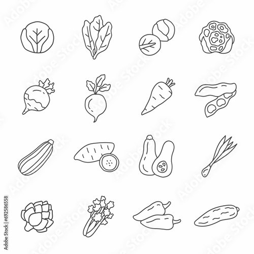 Vegetables hand drawn vector icon set