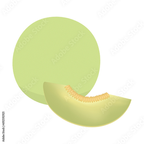 honeydew melon fruit alphabet H