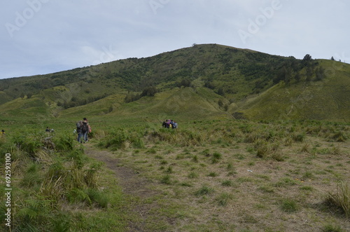 View of the Savanna area of ​​Mount Bromo Park with blue sky. The Bromo Savanna is a vast grassy plain located at the foot of Mount Bromo in Indonesia