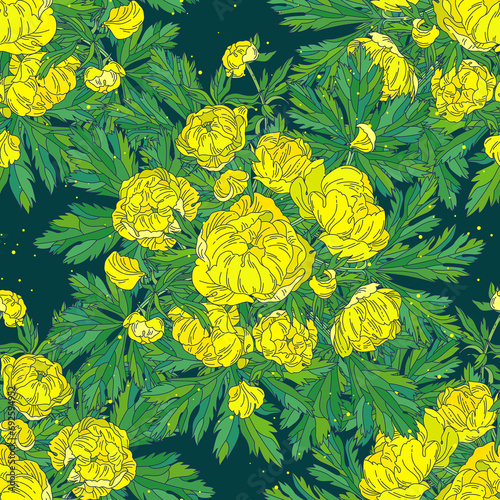 Yellow globeflower. Colored seamless floral pattern on a dark background.