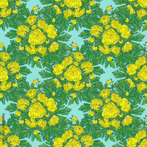 Yellow globeflower. Colored seamless floral pattern on a blue background.