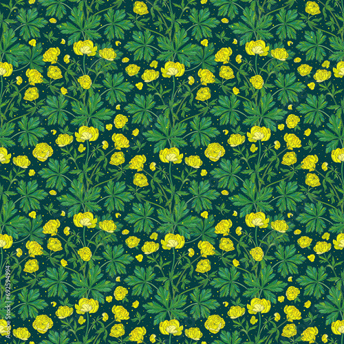 Yellow globeflower. Colored seamless floral pattern on a dark background.