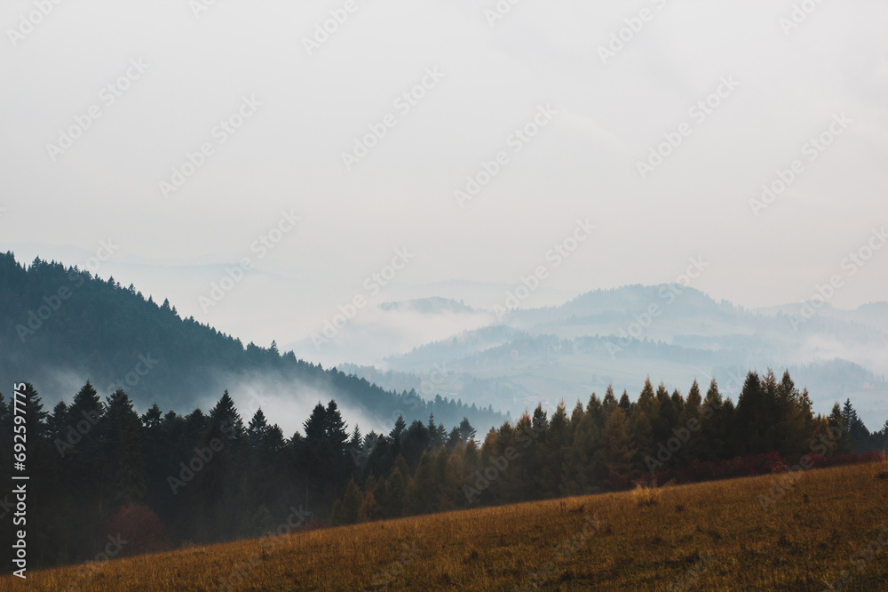 Mountain landscape with fog