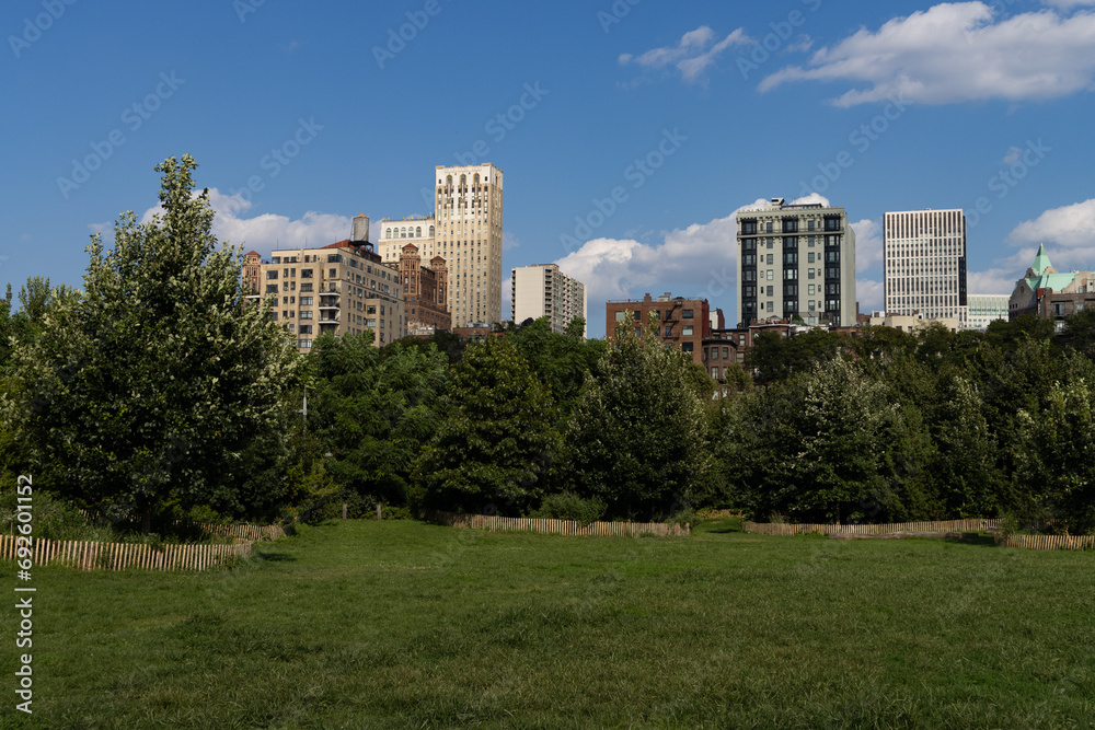 Brooklyn Heights Park with Green Grass and a Neighborhood Skyline View during Summer in New York City