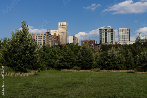 Brooklyn Heights Park with Green Grass and a Neighborhood Skyline View during Summer in New York City © James